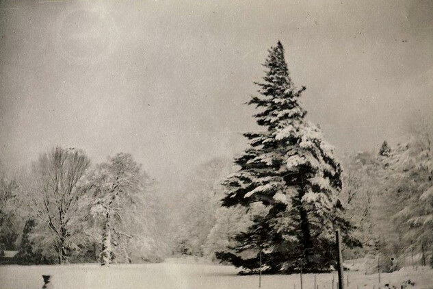 Pohled do parku, kolem 1900