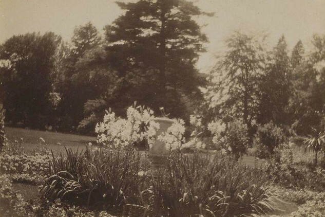 Partie v parku, 1905